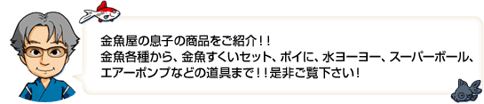 金魚屋の息子の商品をご紹介！ 　金魚各種から、金魚すくいセット、ポイに。水よーよ、スーパーボール、エアーポンプなどの道具まで！！是非ご覧下さい！！