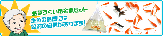 金魚すくい用金魚セット 金魚の品質には絶対の自信があります!