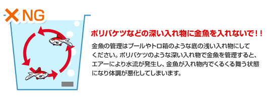 ポリバケツなどの深い入れ物に金魚を入れないで！！