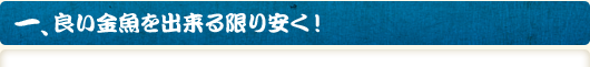 一、良い金魚を出来る限りやすく！