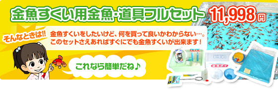 �����������p�����E����t���Z�b�g 11,998�~