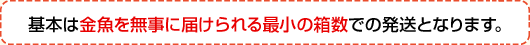 基本は金魚を無事に届けられる最小の箱数での発送となります。