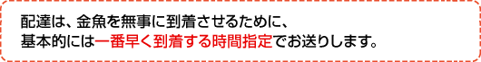 配達は、金魚を無事に到着させるために、基本的には一番早く到着する時間指定でお送りします。