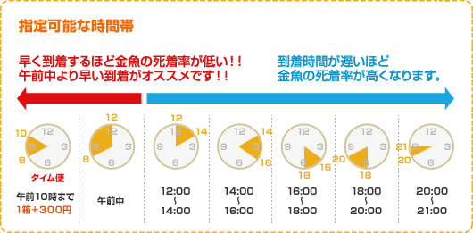 指定可能な時間帯