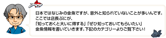 日本ではなじみの金魚ですが、意外と知られていないことが多いんです。ここでは、店長ぷにが、「知っておくと大いに得する」「ぜひ知ってもらいたい」金魚情報を書いていきます。下記のカテゴリーよりご覧下さい！