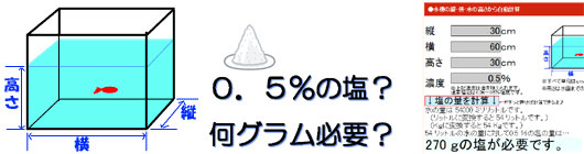 金魚病気：塩浴時の塩の量の計算